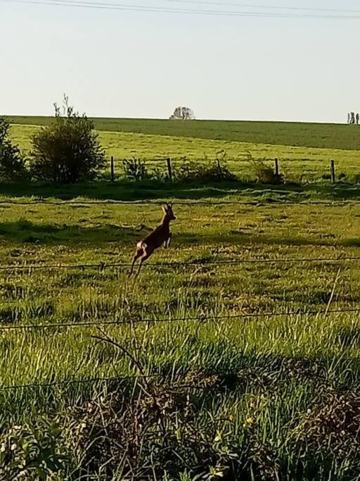 Le Clos Des Marronniers Ecques Esterno foto