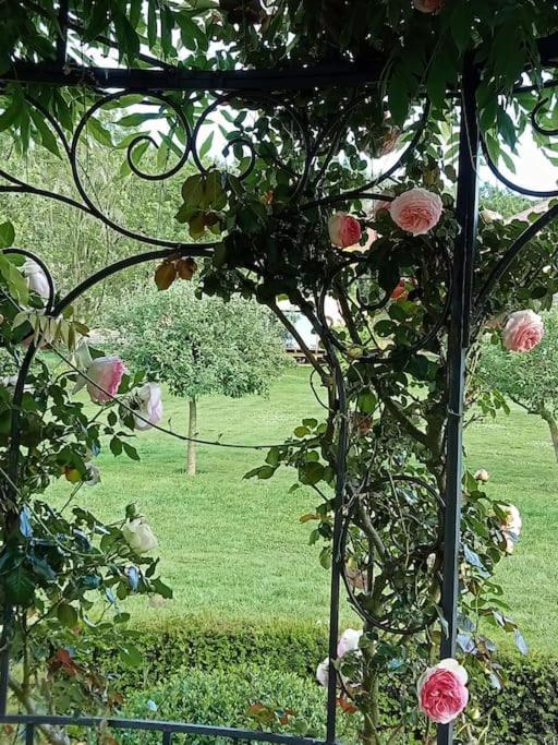 Le Clos Des Marronniers Ecques Esterno foto