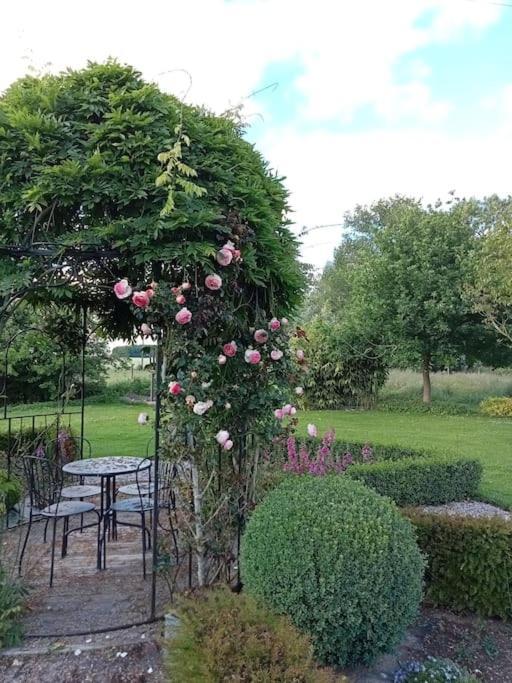Le Clos Des Marronniers Ecques Esterno foto